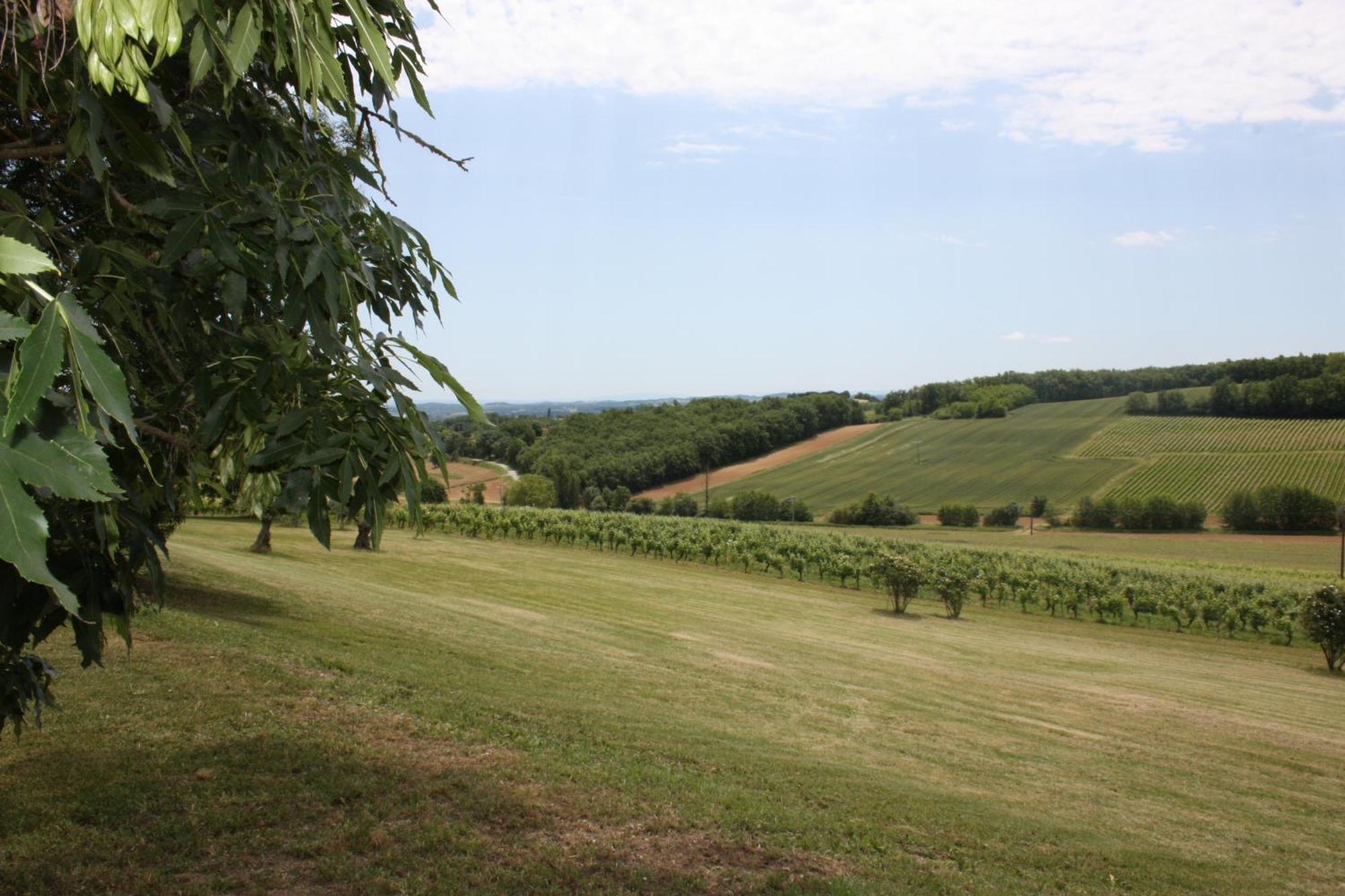 Domaine De Perches Acomodação com café da manhã Gaillac Exterior foto